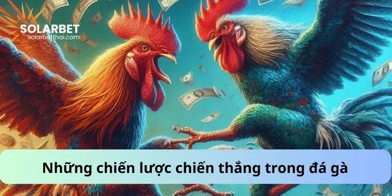 Những chiến lược chiến thắng trong đá gà