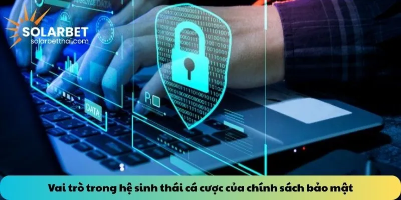 Vai trò trong hệ sinh thái cá cược của chính sách bảo mật